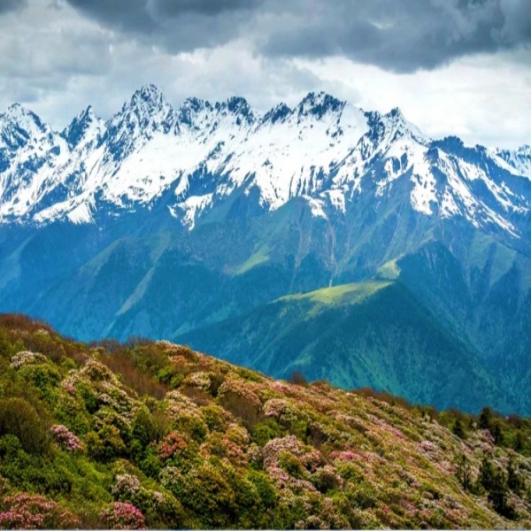 【雪山|布勒牧场】遥望雪山！走进簇朗雪山脚下的布勒牧场，冲击布勒之巅！