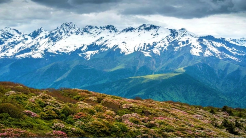 【雪山|布勒牧场】遥望雪山！走进簇朗雪山脚下的布勒牧场，冲击布勒之巅！