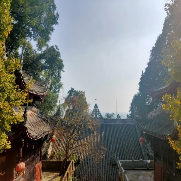 【彭州八步坎古道】徒步彭州凤凰山，幽深古道八步坎
