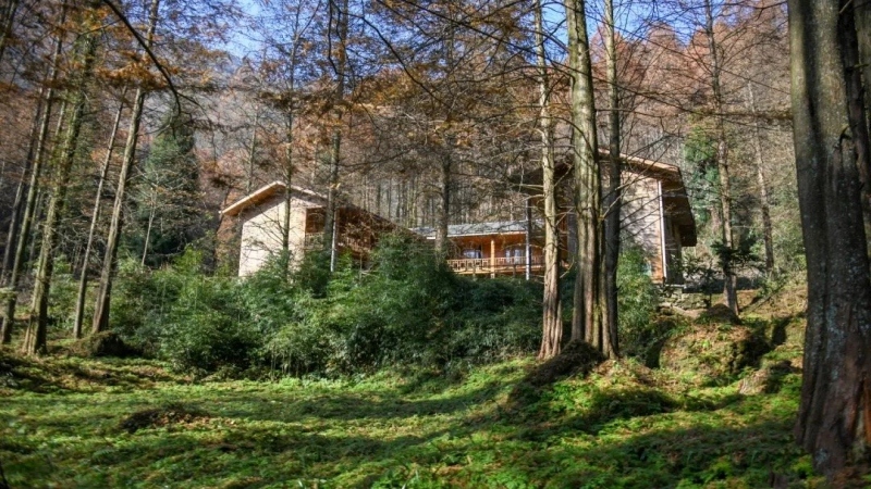 【秋色|上元古道】山野秘境徒步,自然治愈之路,探访藏于秘境下的唐朝古建筑遗迹