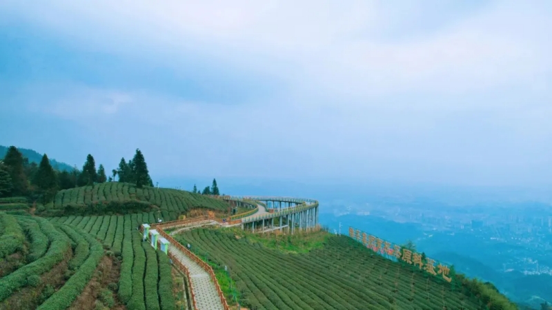 【赢奖牌|蒙顶山】漫游世界茶源轻徒步路线，感受蒙顶山茶文化，通关赢奖牌