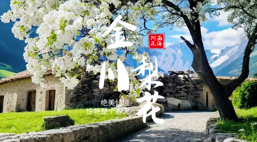 金川梨花