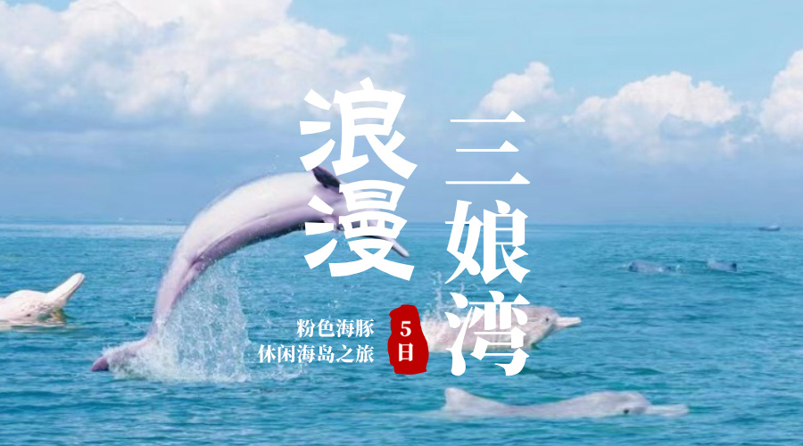 三娘湾|粉色海豚5日