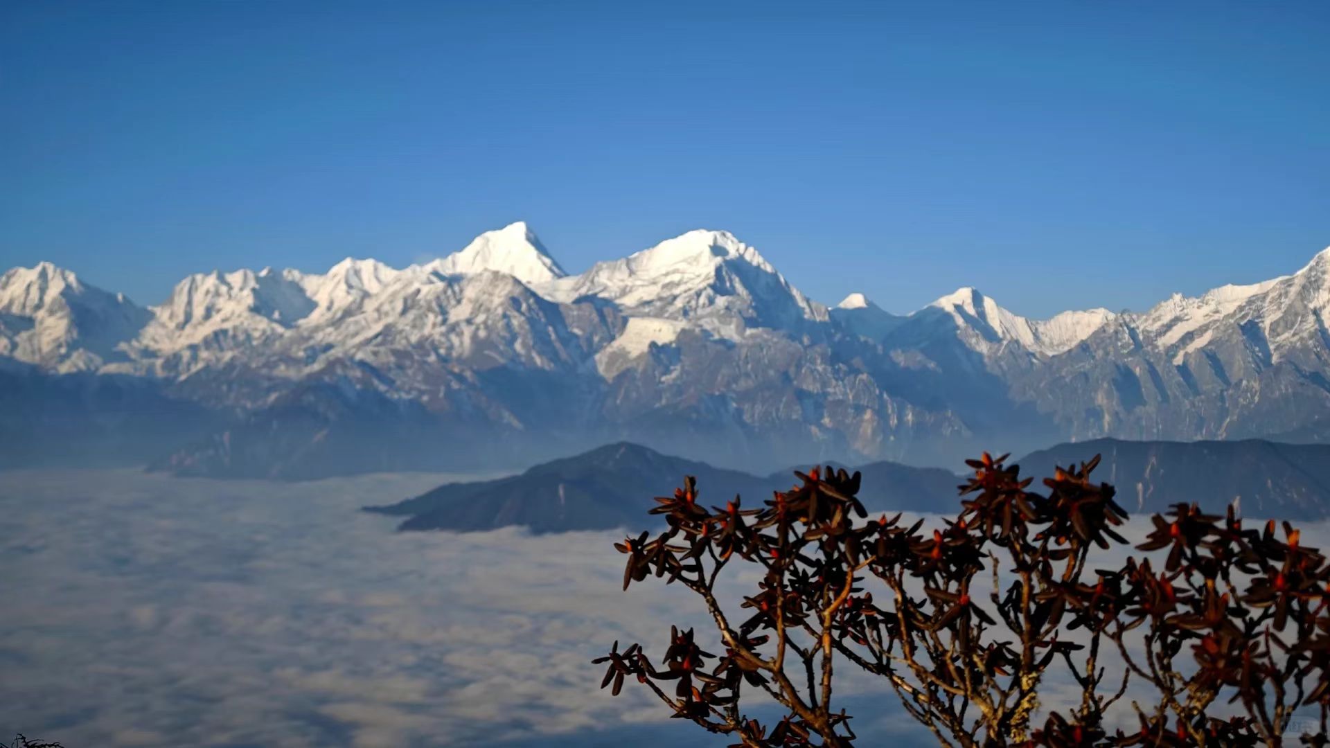 【娘娘山】与牛背山相邻的无门票小众徒步胜地，直面雪山群，赏云海日出星空