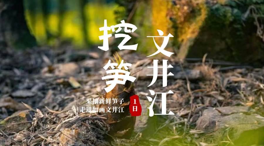 文井江