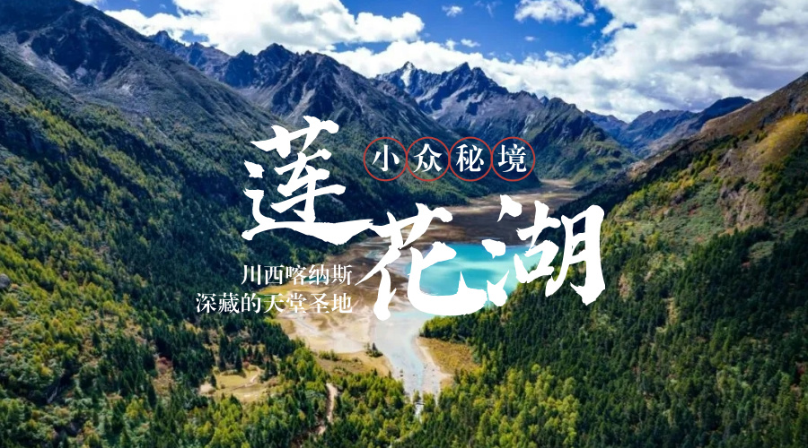莲花湖