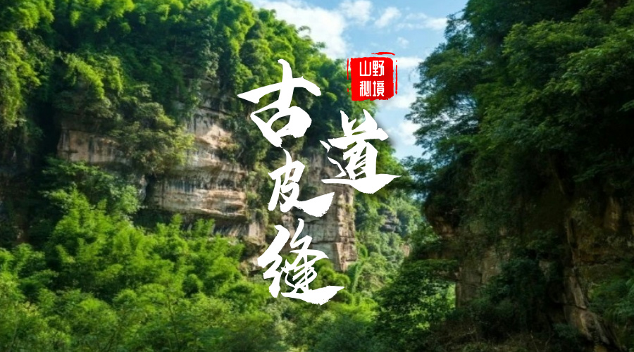 邛崃皮缝古道