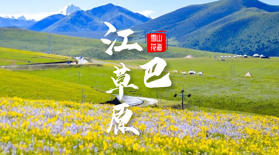 江巴草原