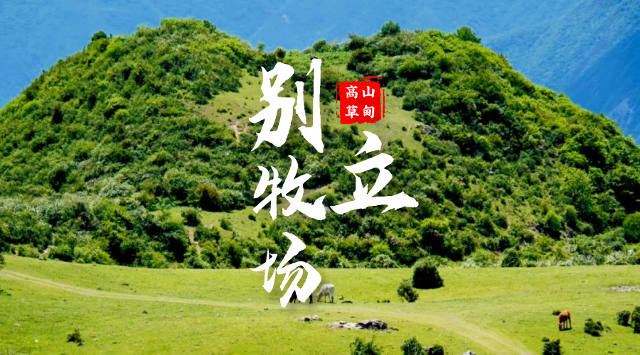 别立牧场