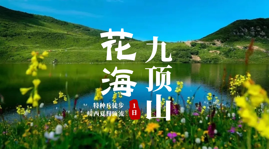 九顶山花海