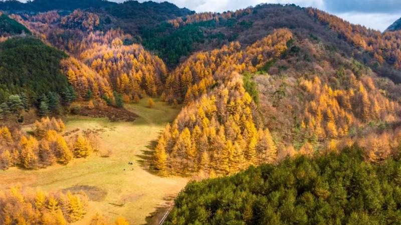 【秋色|曾家山】超出片！无门票赏彩林，小众天坑、溶洞，开启秘境探索之旅