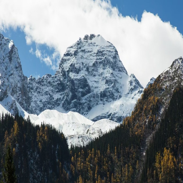 【秋色|猛古雪山】速登理县猛古高山牧场，雪山环绕，远观理县版“冈仁波齐”-霸王山