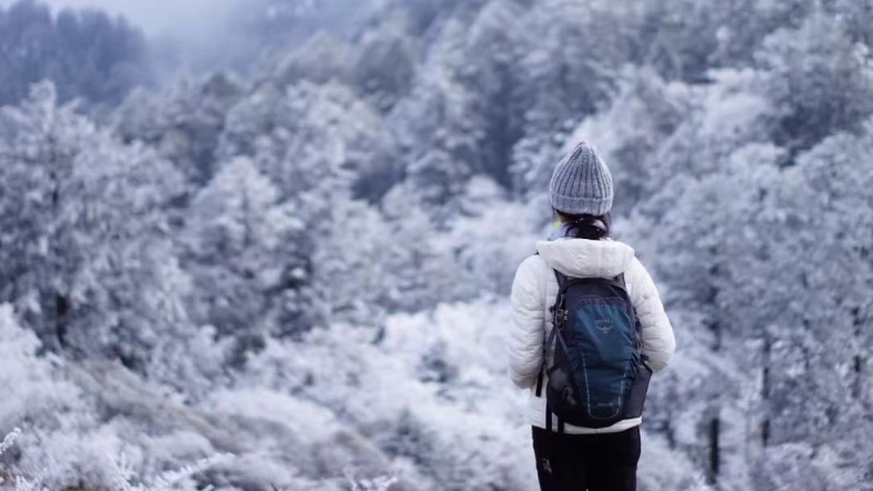 【雾凇|云中岭】冬日高山牧场，喧嚣着洁白的美丽