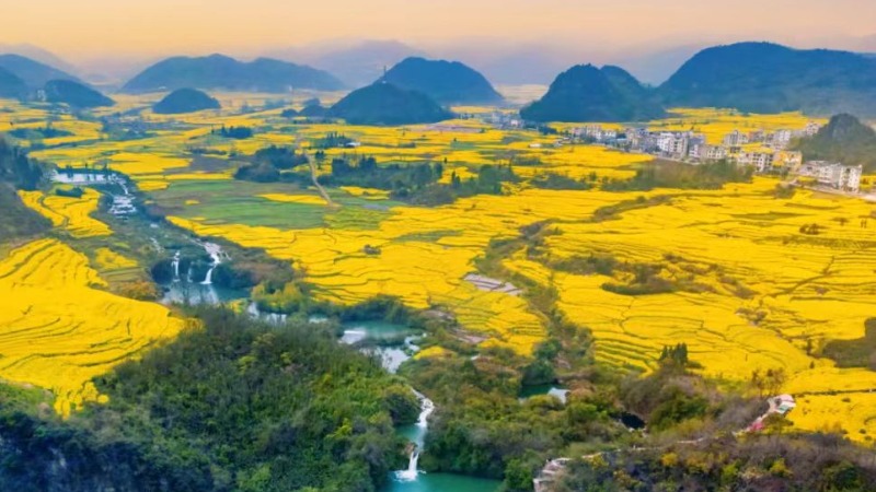 【春节|云贵川大环线】邂逅最早春，醉倒在云贵的芳华原野之旅