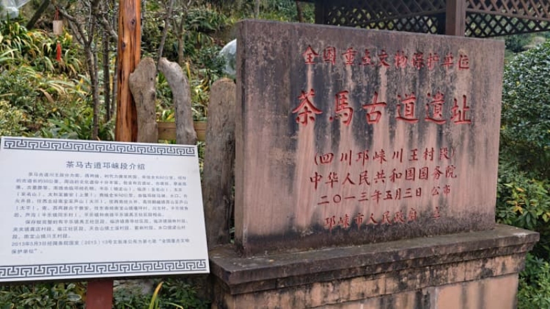 【邛崃茶马古道穿越】穿行万顷竹海，听竹涛声交织回响，漫步千年茶马古道，让茶香与清风一同入梦