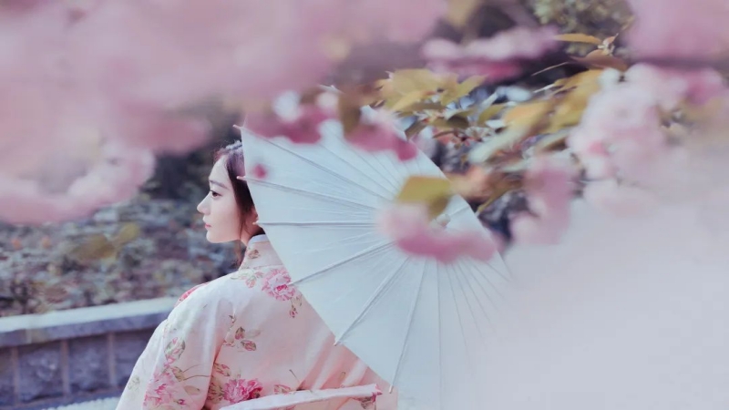 【免门票|龙居村樱花谷】春暖花开，好运来，“樱你而来”花开满园龙居村樱花谷，数百万樱花悄然绽放