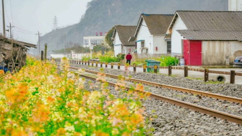 【轻徒|什邡仙居山】成都周边新晋徒步小众路线，仙居山春日盛宴