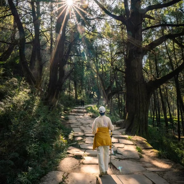 【探秘古蜀道2日】一眼千年的震撼！川内人文天花板徒步线，千年古道青柏遮天
