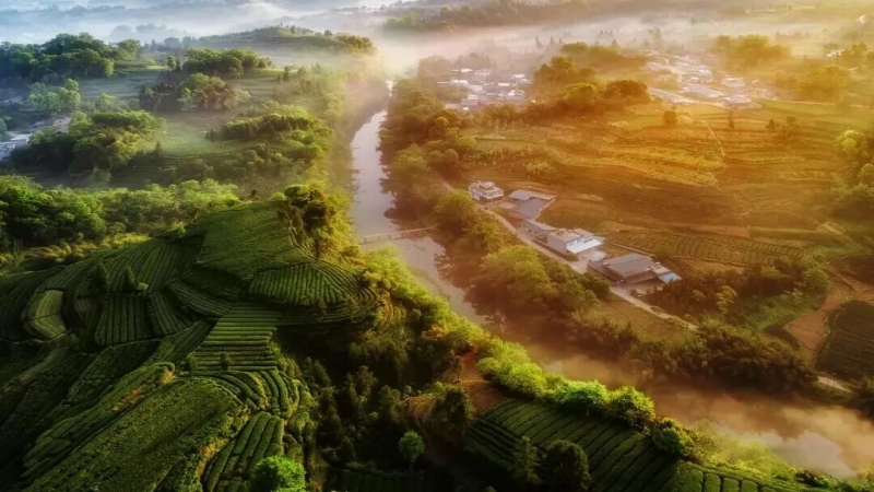 【千里江山图|骑龙村】中国至美茶园绿道，古诗里的画面就这样走入现实 
