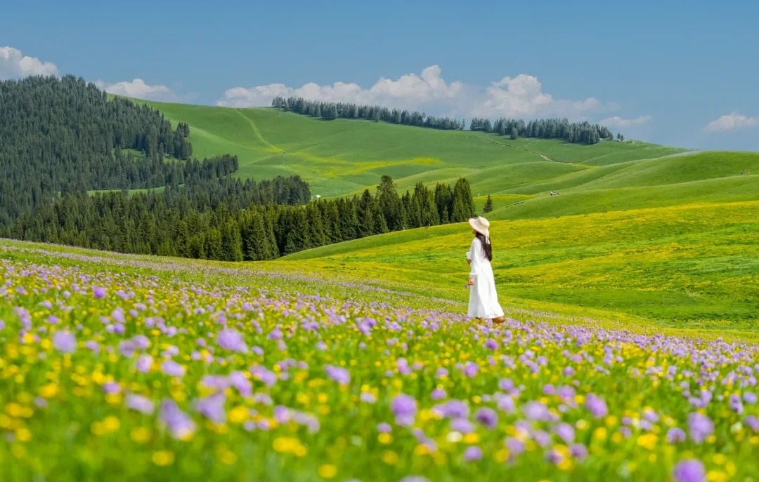 【新疆深度游环线11日】国内旅行天花板！雪山花海草原湖泊，一步一景，每一帧都是封神仙境！