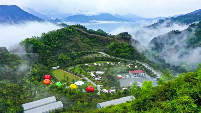 【汶川无忧谷】阳光下的无忧谷，山花烂漫，静享无忧时光
