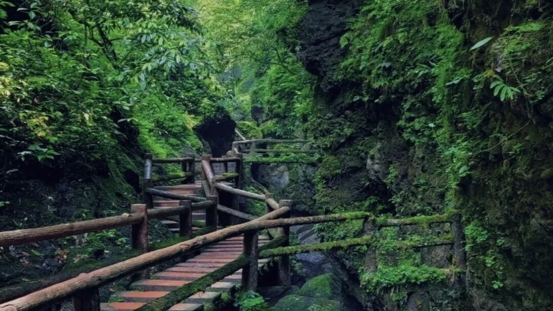 【消夏避暑|青城后山】躲进 22℃的山野,承包一整个夏天的清凉
