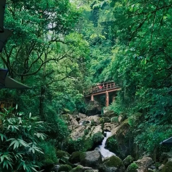 【消夏避暑|青城后山】躲进 22℃的山野，承包一整个夏天的清凉