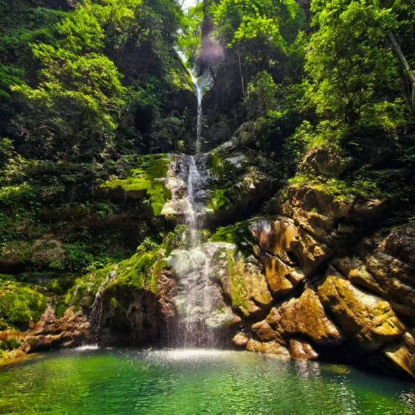 【消夏避暑|老君山】千年硝洞老君沟，清泉瀑布藏王寨，96%森林覆盖率天然氧吧！
