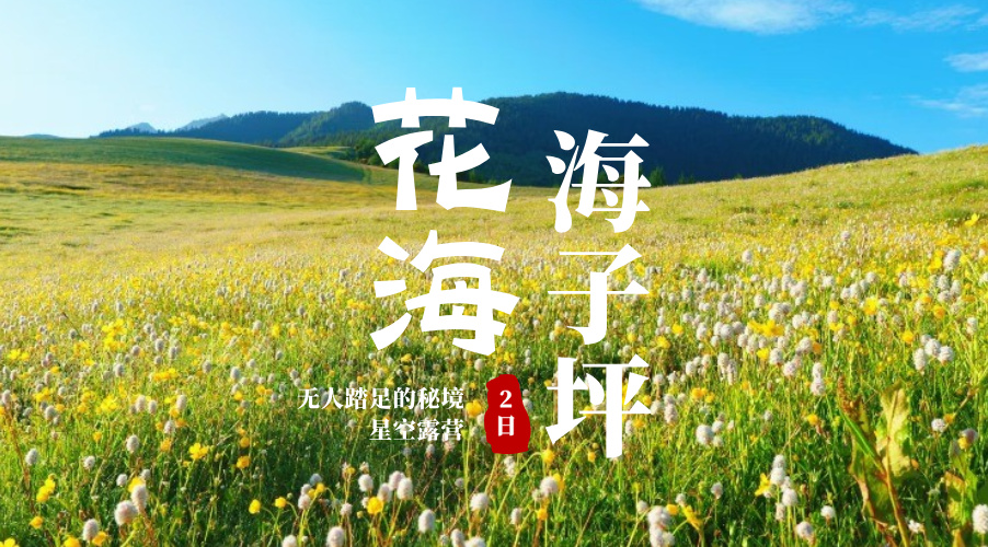 海子坪花海露营
