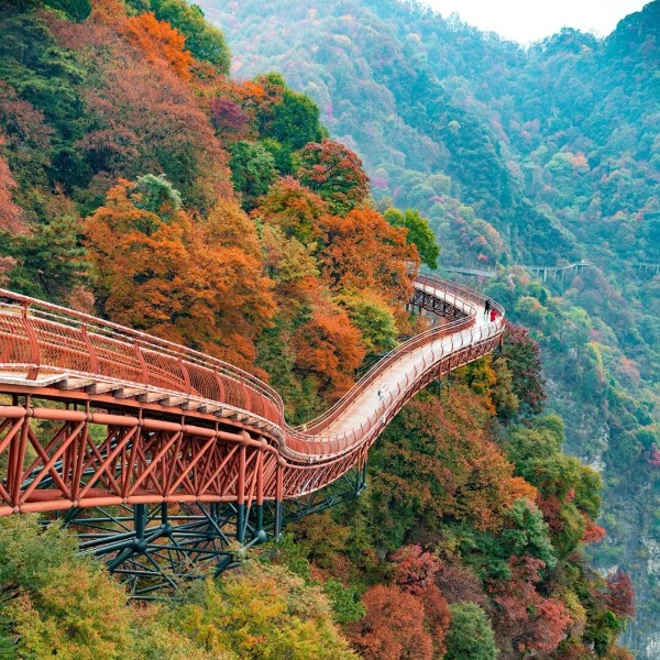 【秦岭赏秋7日】秋天一定要来趟秦岭！彩林公路+溪谷红叶，终于等到这场绝美秋色！