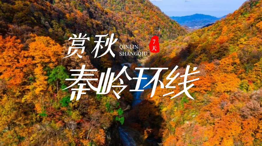 秦岭赏秋7日