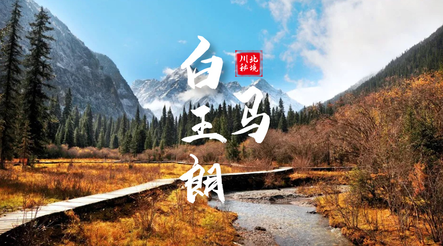 白马王朗