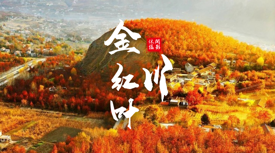 金川红叶